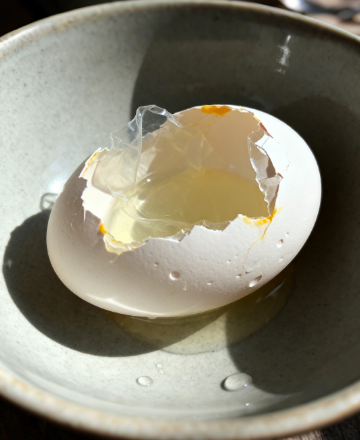 合規適配！雞蛋藥物殘留檢測儀符合國標檢測標準