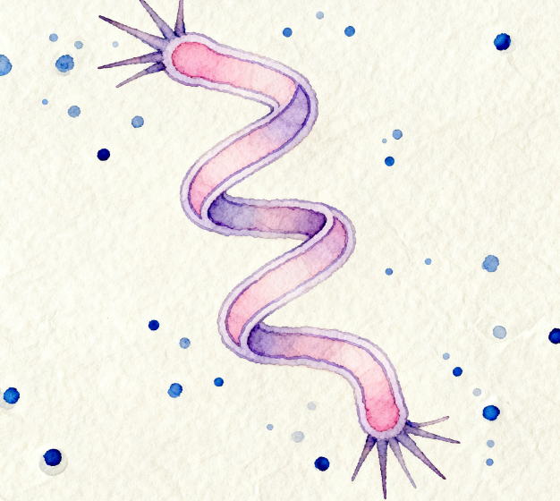 重磅發布！LD-ATP微生物細菌檢測儀升級 3.5 英寸觸摸屏，檢測效率再翻倍