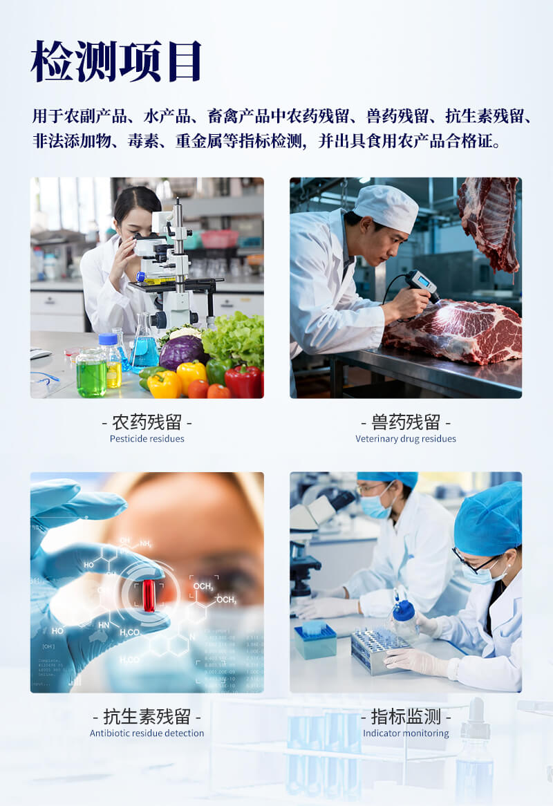 智能金標(biāo)讀數(shù)儀